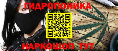 spice Будённовск