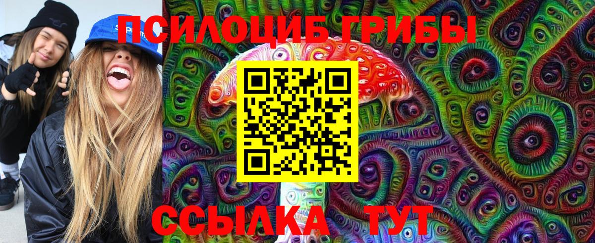 Мценск  Псилоцибиновые грибы Cubensis  Вход с VPN 